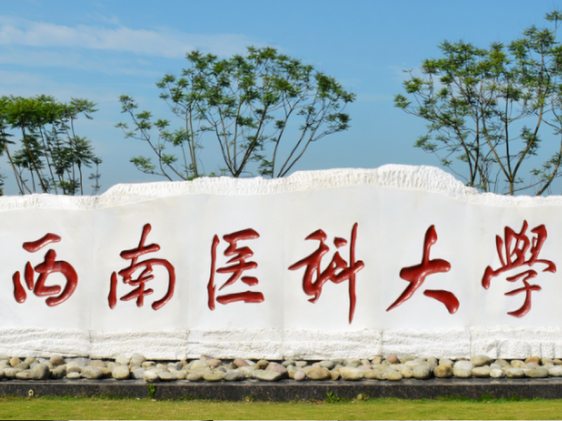 西南醫(yī)科大學(xué)智慧食堂800-3.jpg